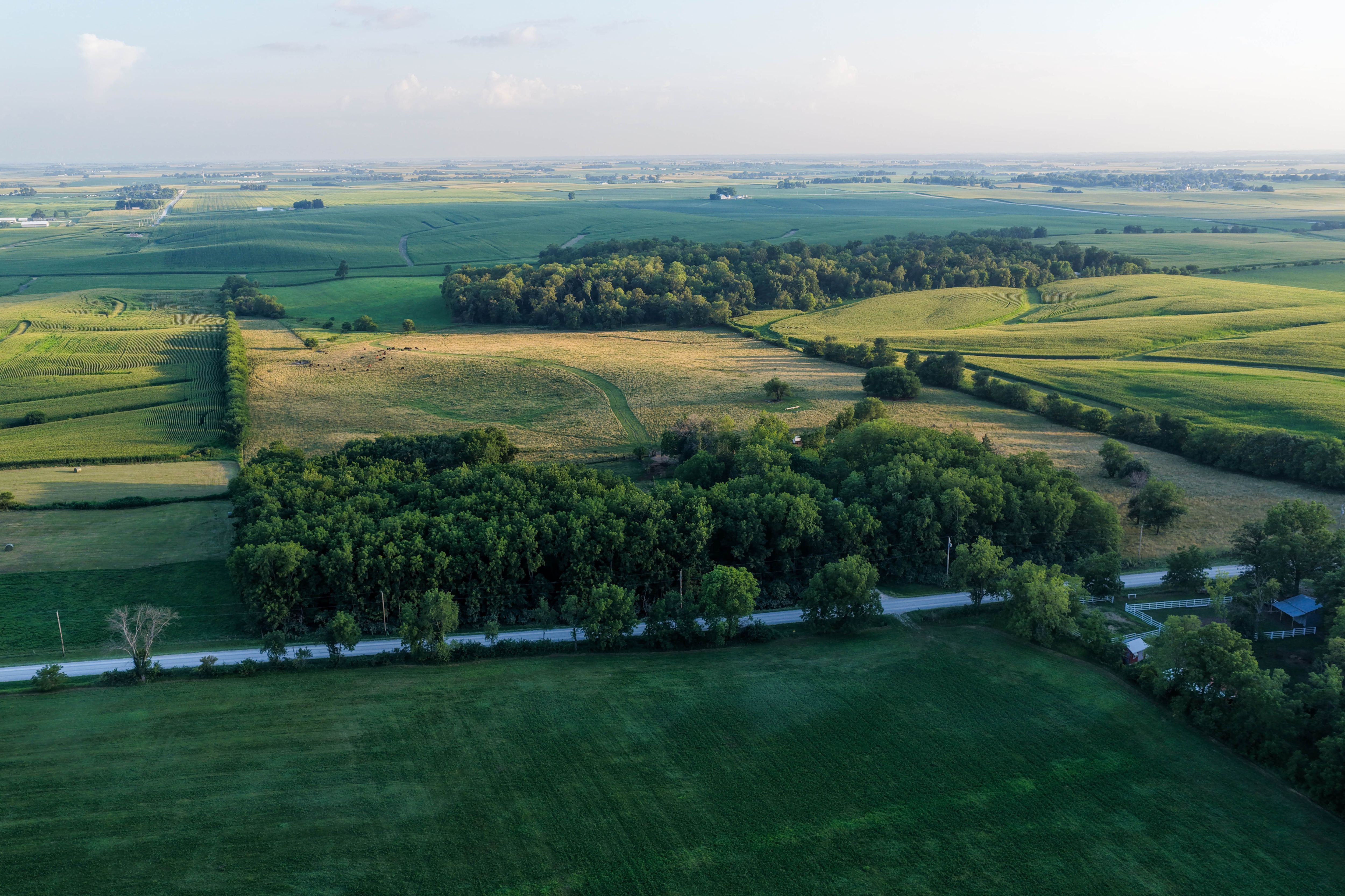 Listing Photo: Johnson County Land For Sale-45